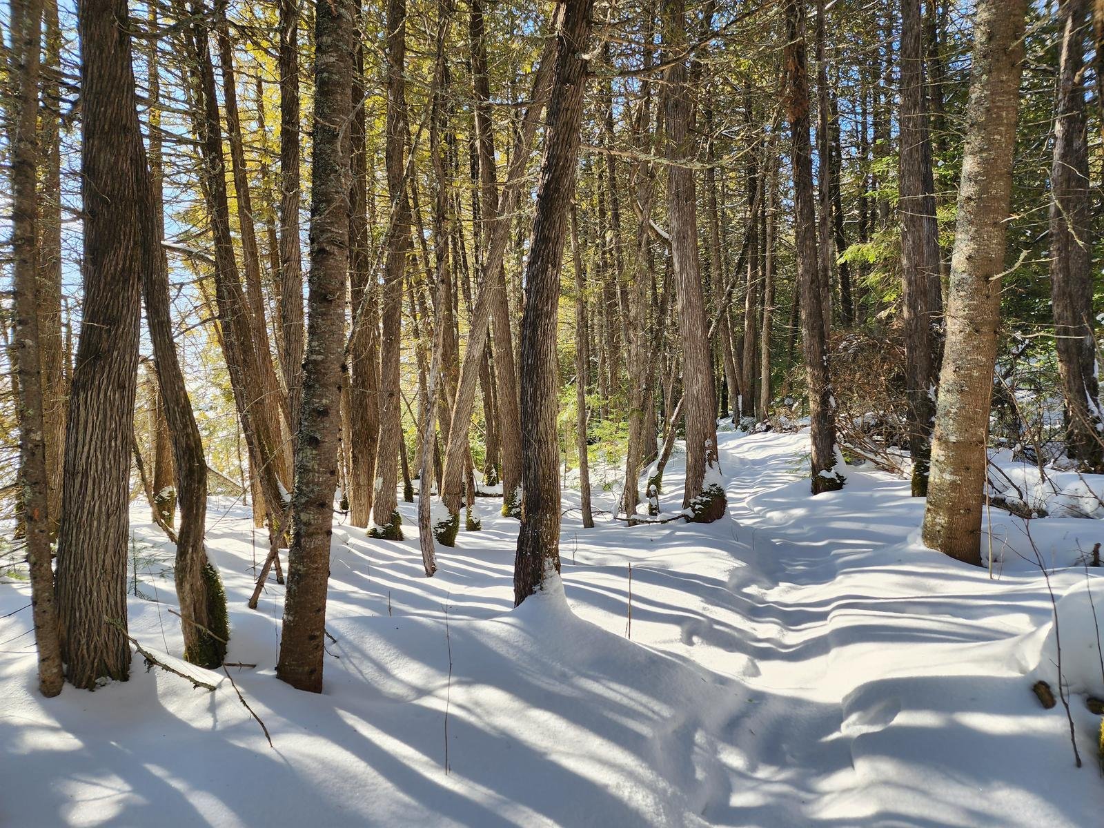 Lake Reflection