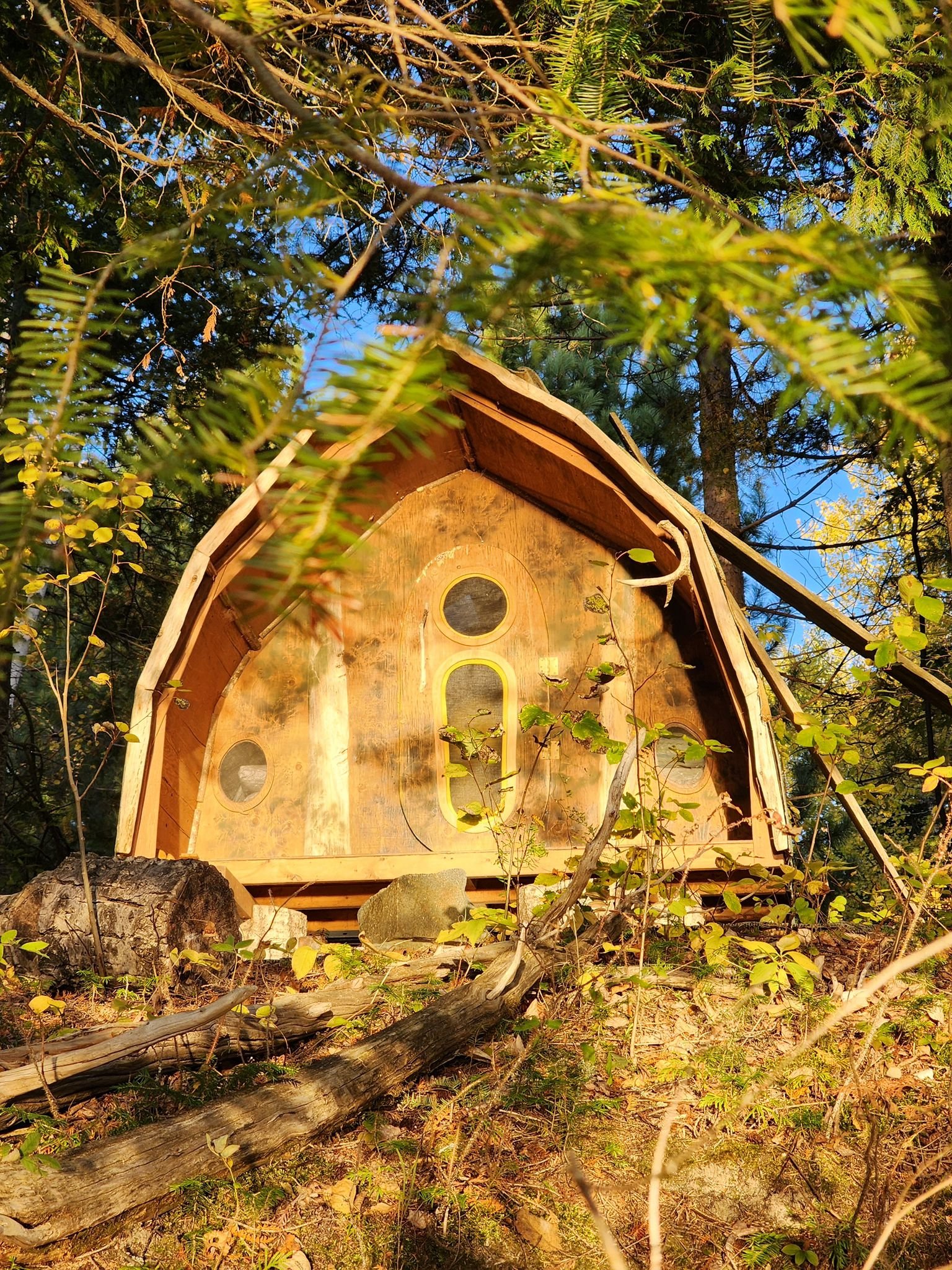 Q-Pod