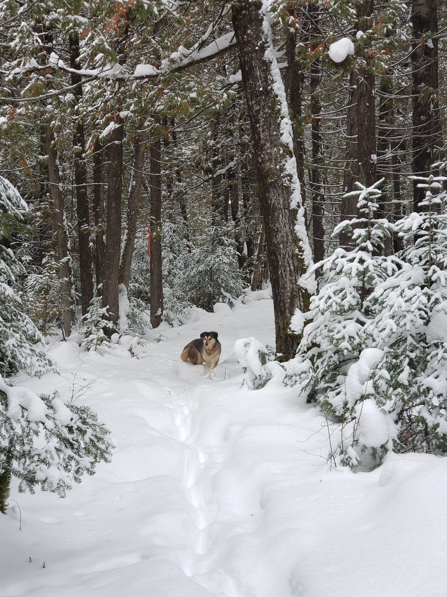 Trail Photo 3